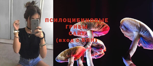круглые Алзамай