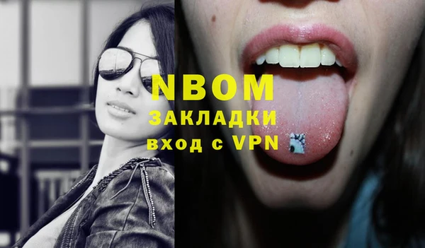 прущие грибы Ростов