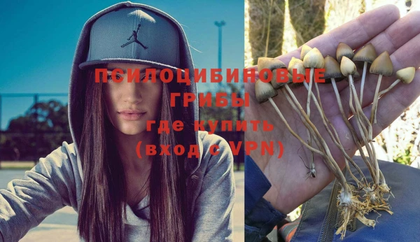 гидропоника Алексин