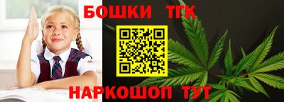 индика Наро-Фоминск