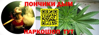 индика Наро-Фоминск