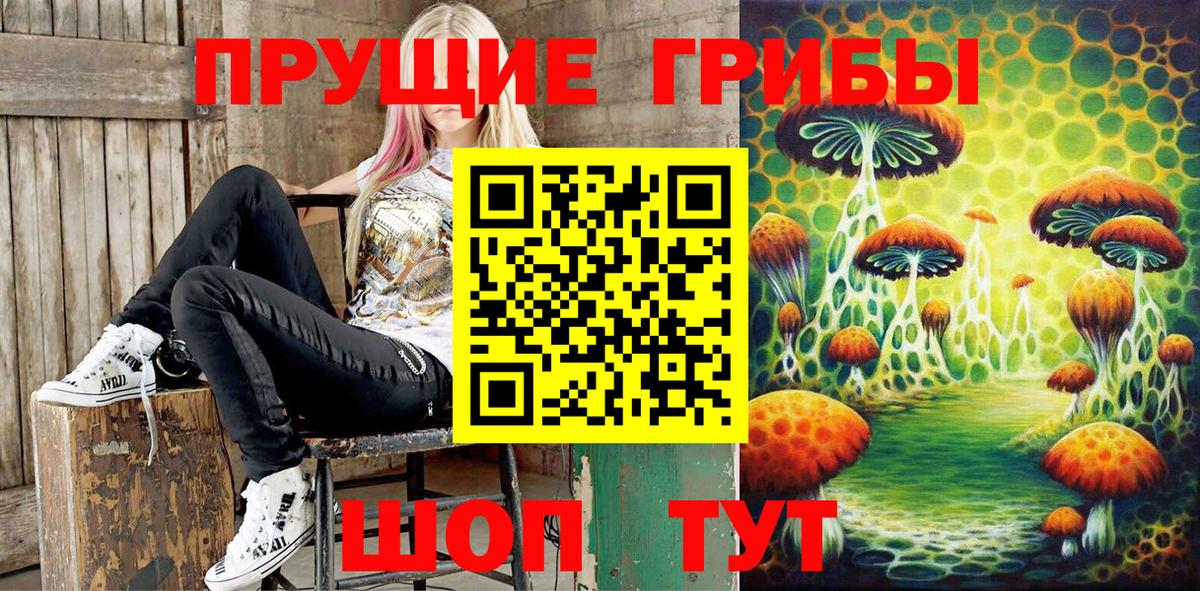 Ржев  Галлюциногенные грибы мицелий  Вход с VPN 